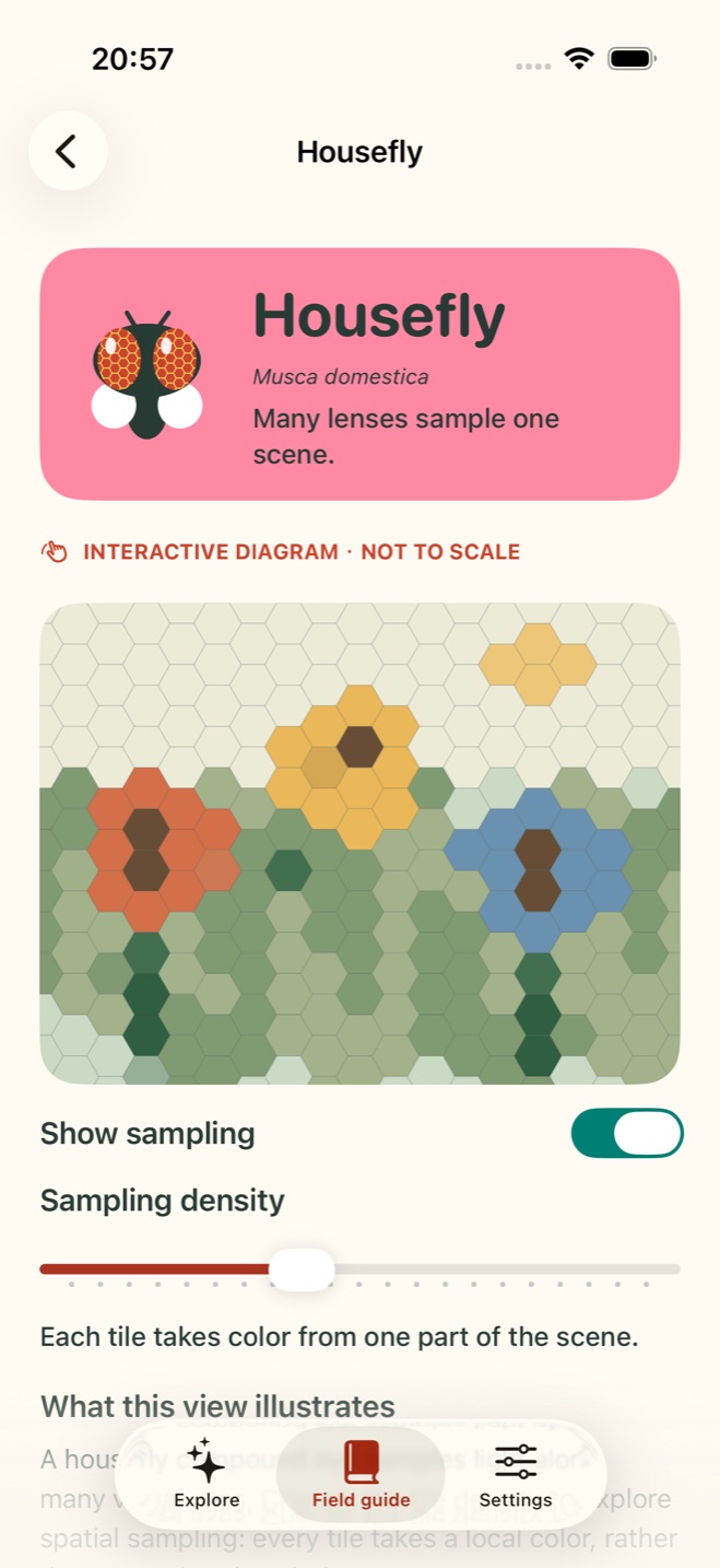 TaSee interactive housefly eye study demonstrating local color sampling